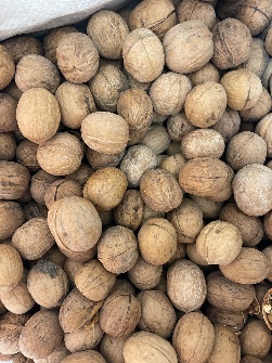 گردو با پوست درصد پایین