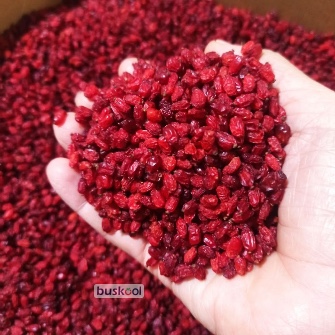 زرشک صادراتی : پفکی / اناری / سیاه