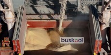 کنجاله سویا آرژانتین