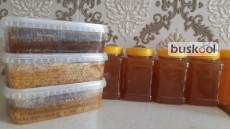 عسل کوهستان باتغذیه طبیعی