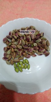 مغز پسته قزوین_بویین زهرا