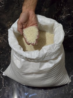 برنج فجر سوزنی درجه 1 گرگان