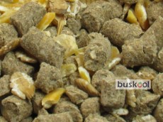 کنسانتره ممتاز دامی