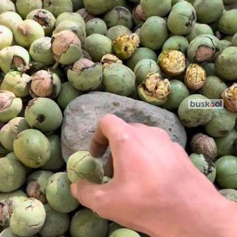 گردوی محلی و پوست کاغذی
