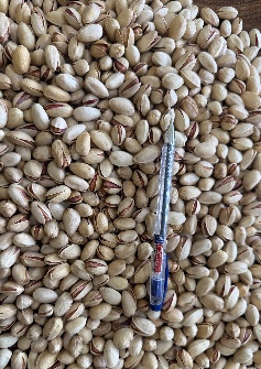 پسته احمداقایی خندان ۲۸/۳۰