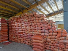 برنج شیرودی ممتاز دارای عطر و طعم عالی
