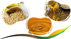 روغن سویا فله