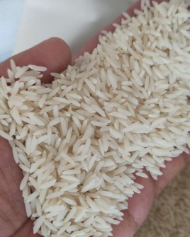 برنج طارم هاشمی اعلا