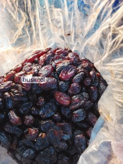 خرما خنیری