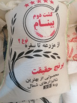 برنج کشت دو عطری