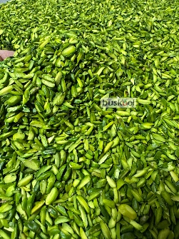 خلال پسته قزوینی