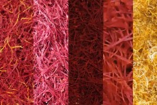 زعفران نگین پوشال دخترپیچ سفید