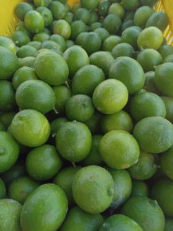 لیموترش