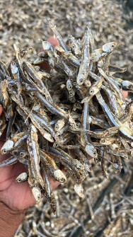 ماهی خشک و پودر ماهی