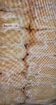 شنیسل مرغ