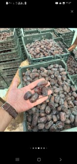 خرمای مضافتی و کلوته و مرداسنگ