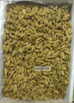 کشمش سبز وزرد افتابی