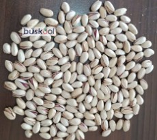 پسته احمدآقایی رفسنجان انس 22-24