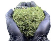 شوید خشک صادراتی درجه یک