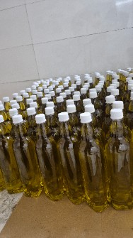 روغن زیتون بکر بدون بو