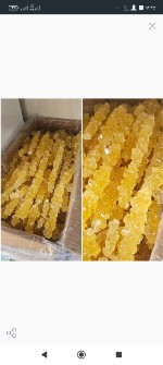نبات شاخه ی زرد کارتنی