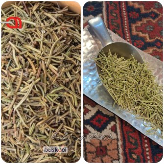 رزماری برگ درشت درجه 1 سورت صادراتی