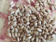 شاهپندی