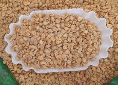 کلمبیا سوپریمو