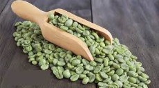 قهوه دان سبز قهوه ربوستا اندونزی ای پی 1