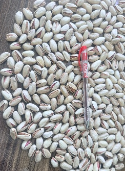 پسته اکبری خندان توچین انس۲۷